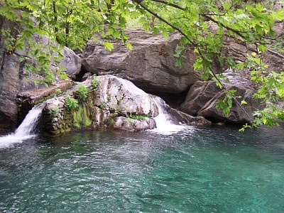 hasanboguldu_2[1]