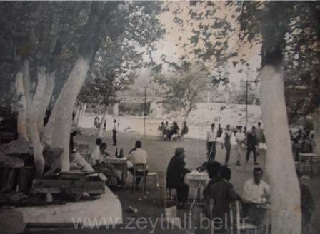 zeytinli-tarihce